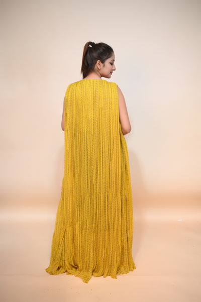 full back look of green and yellow georgette dress