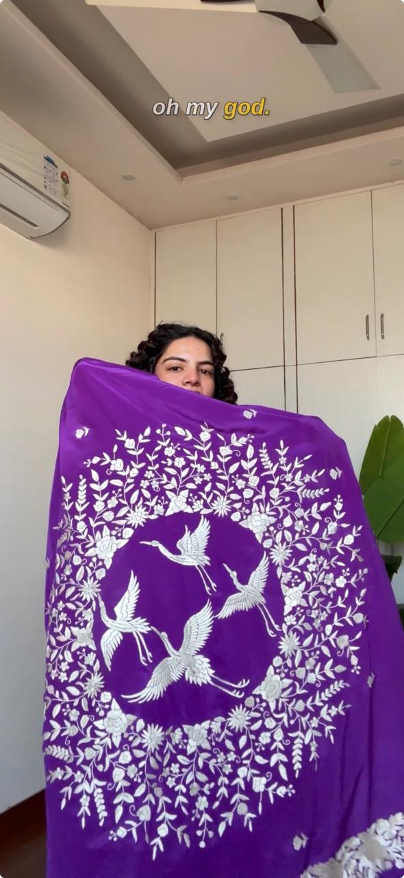 Celestial Crane Silk Saree B-29