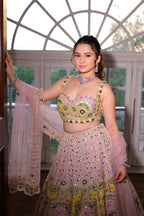 Whimsical Pastel Embroidered Lehenga Choli Set