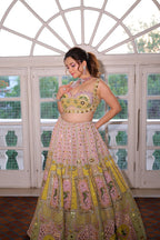 Whimsical Pastel Embroidered Lehenga Choli Set