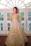 Whimsical Pastel Embroidered Lehenga Choli Set