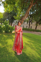 Royal Elegance Bandhani Saree