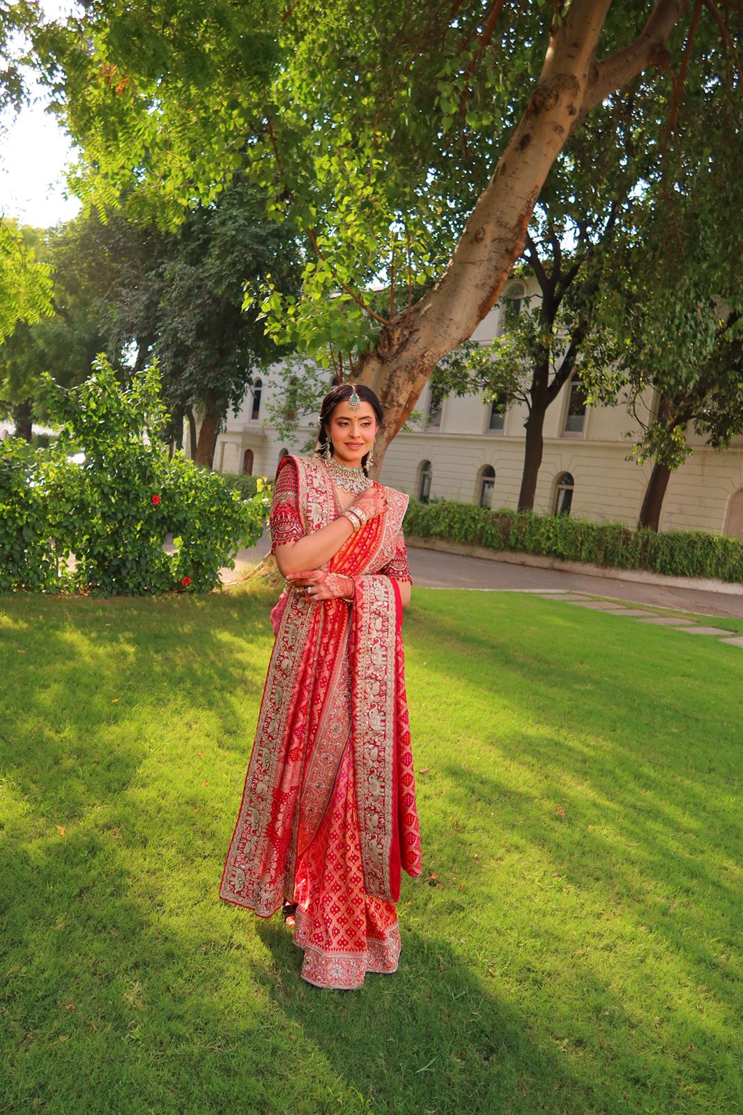 Royal Elegance Bandhani Saree