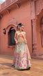 Whimsical Pastel Multi-Chalie Lehenga Set