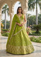 Ruby Red Chevron Silk Lehenga Set with Brocade Border (1036 GA-39)