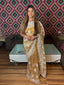 Golden Amber Serenity: Sheer Organza Saree