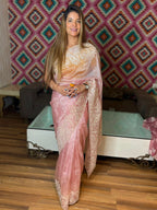 Intricate Embroidery Sheer Organza Saree