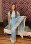 Intricate Embroidery Sheer Organza Saree