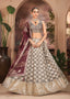 Taupe Grey Banarasi Silk Lehenga Set