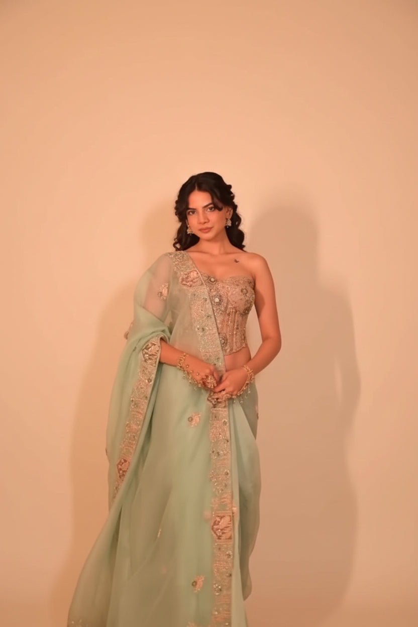 Firozi Embroidered Organza Saree Main image