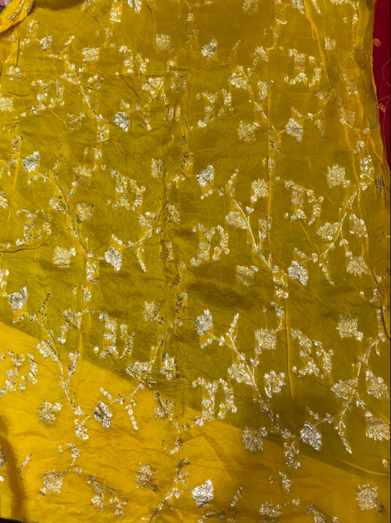 Red Soft Fabric Saree with Golden Butti & Traditional Motif Detailing Secondary image