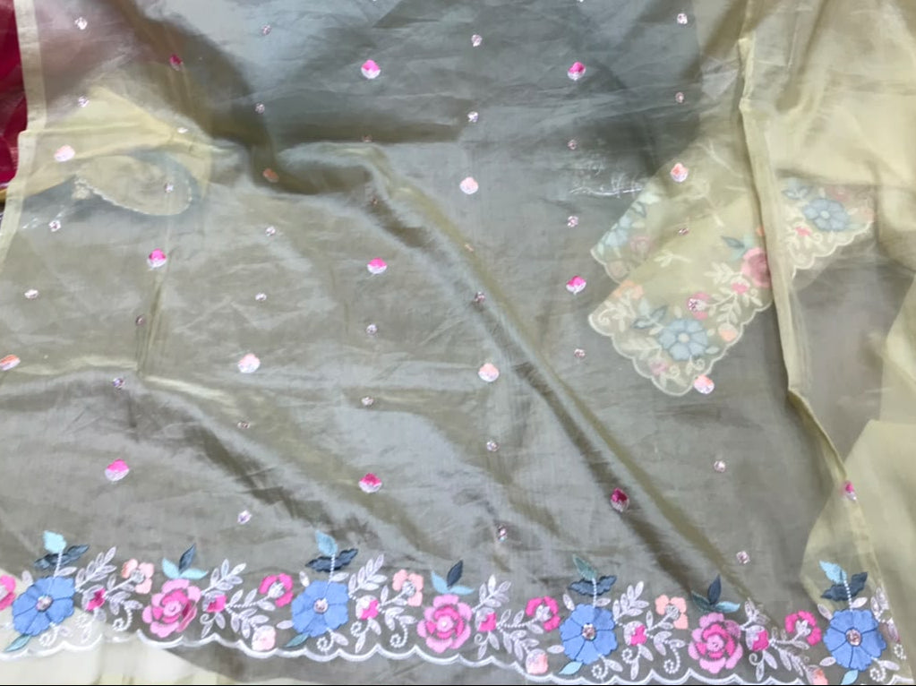 Pistachio Green Organza Saree with Floral Embroidery