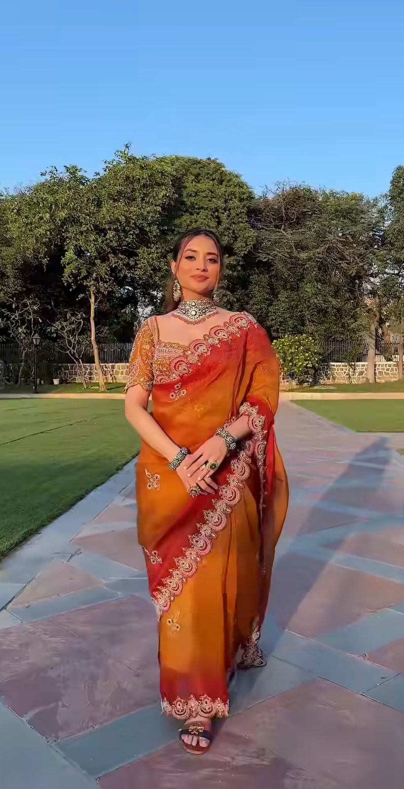 The Amber Glow Ombré Organza Saree Set
