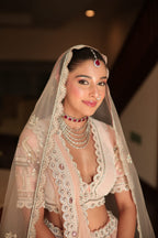 Elegant Pastel Pink Embroidered Lehenga Set