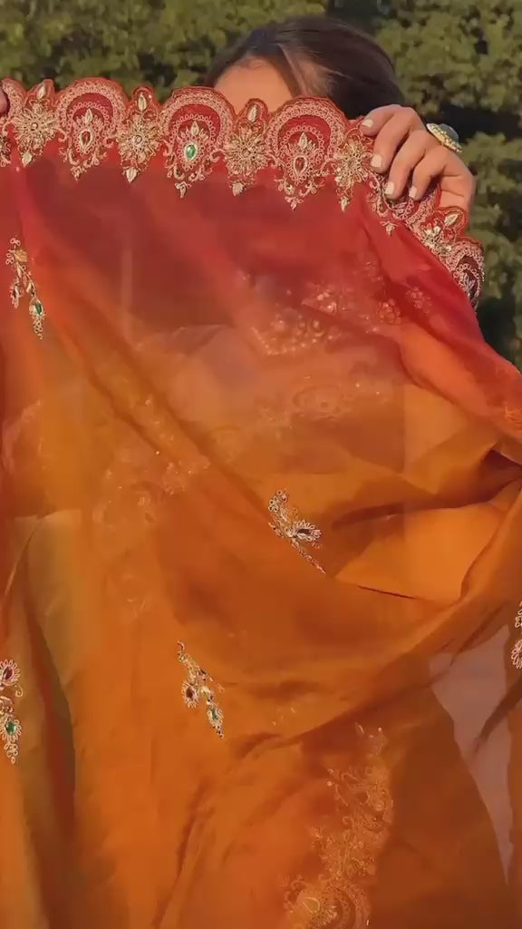 The Amber Glow Ombré Organza Saree Set