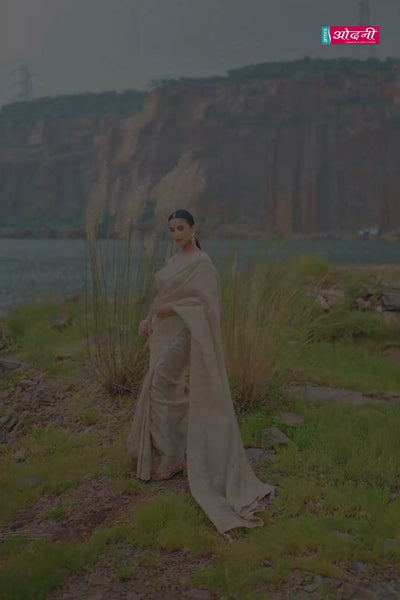 Elegant Beige & Gold Heavily Embroidered Saree (8602 GS-133)