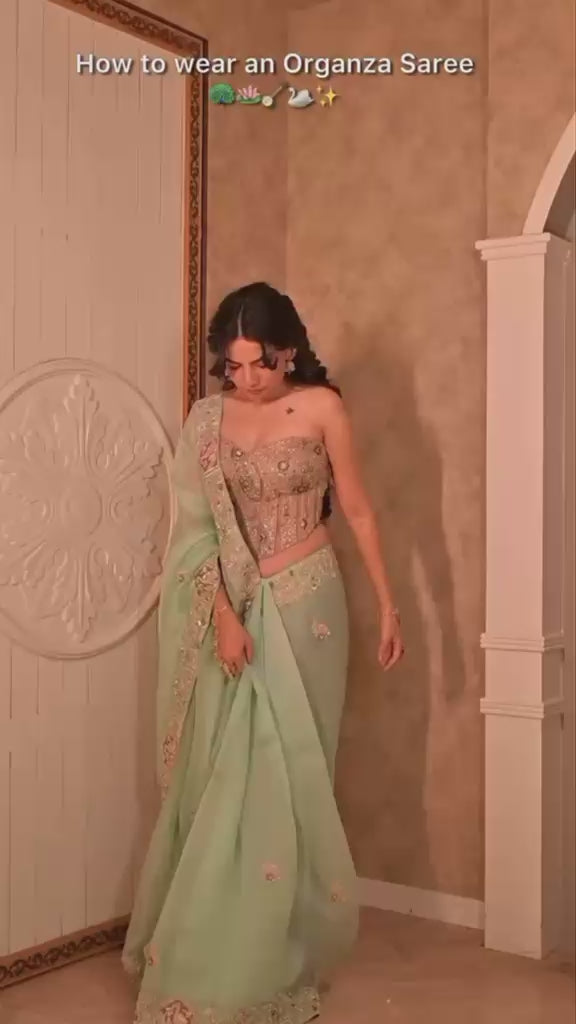 Firozi Embroidered Organza Saree