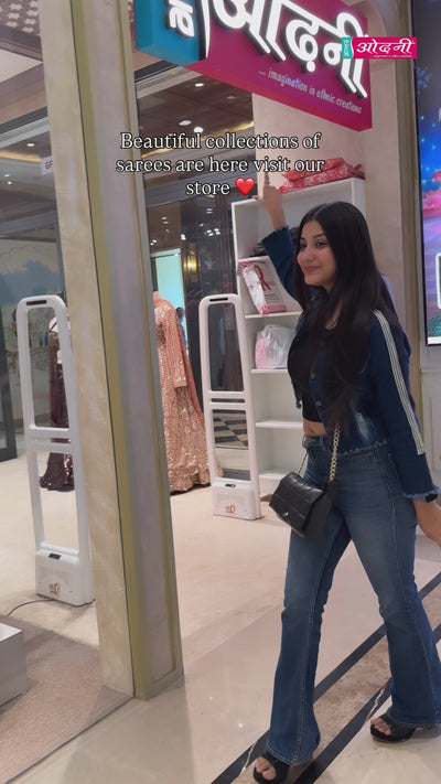 Diamond Dust Sequin Saree (740-A D-1)