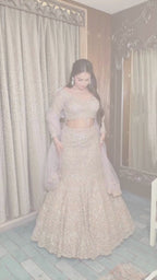 Imperial Gold Lehenga set (1067 D-14)