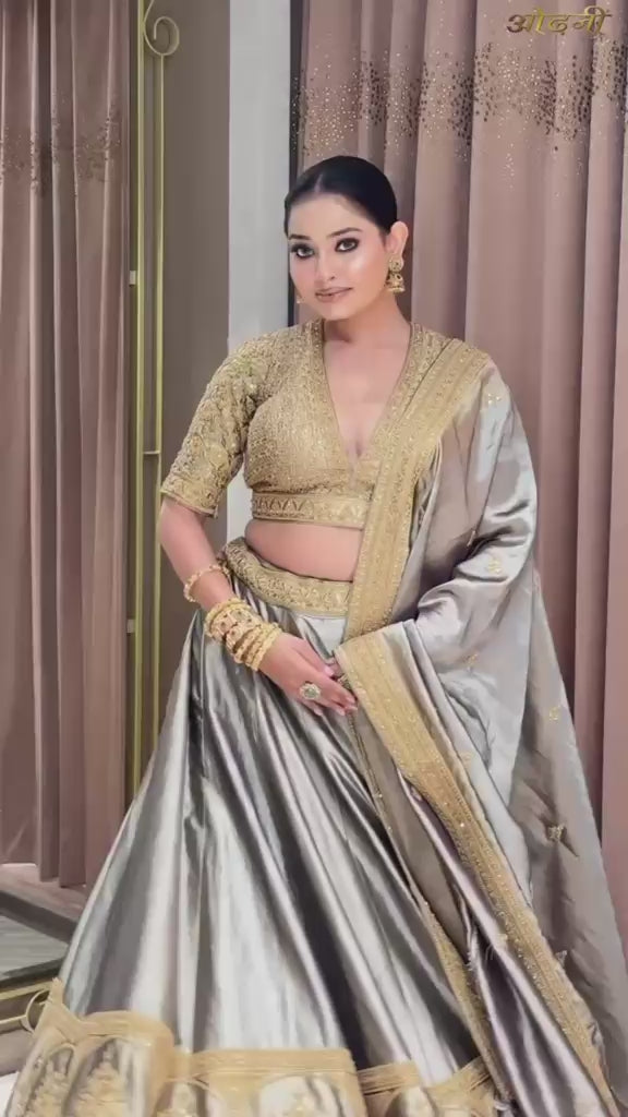 Metallic Silver Tissue Silk Lehenga Set