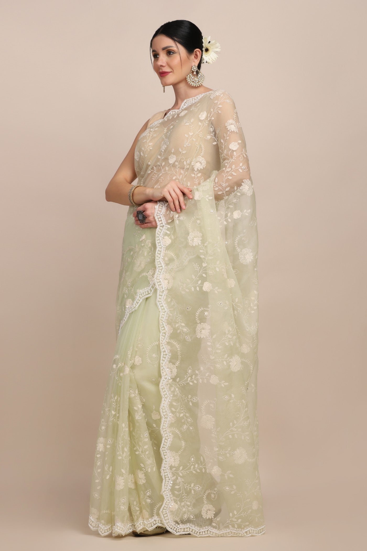Beautiful light green color floral jaal embroidered saree